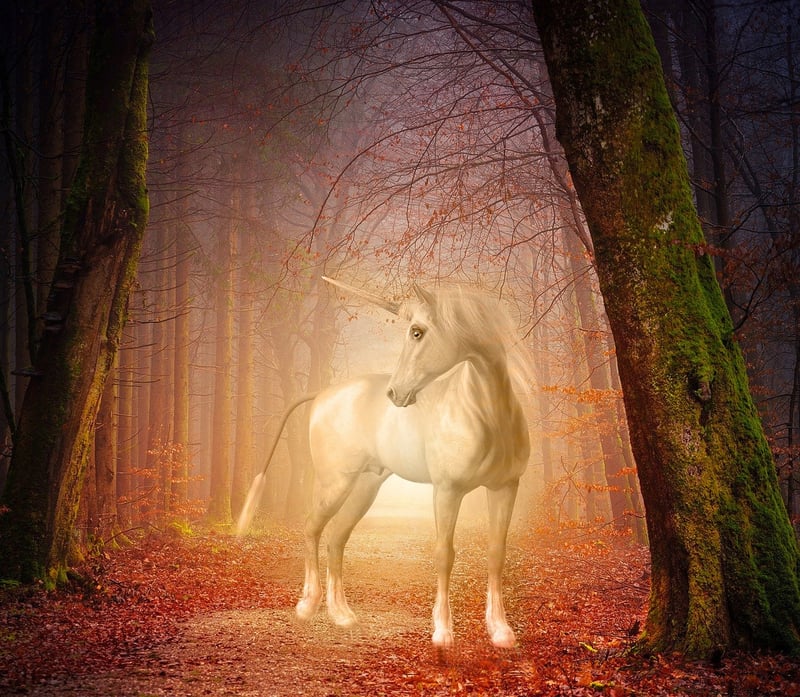 Unicorn Image